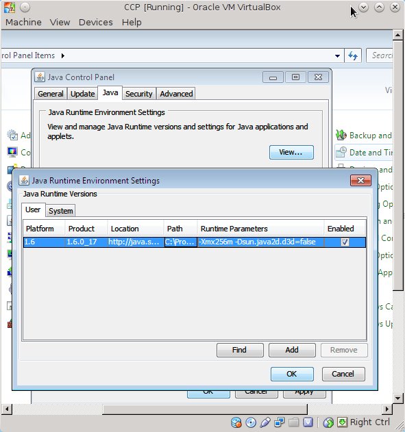 Picture 6 – Java Runtime parameters configuration